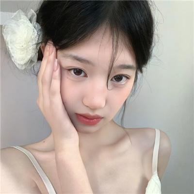 豹